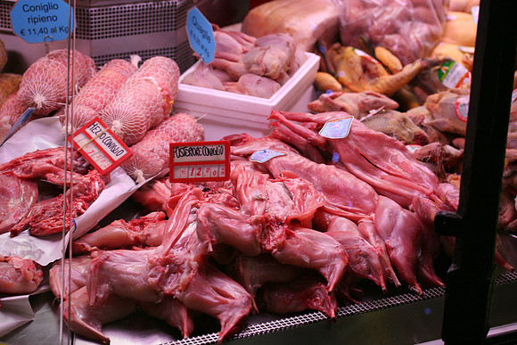 Rabbits