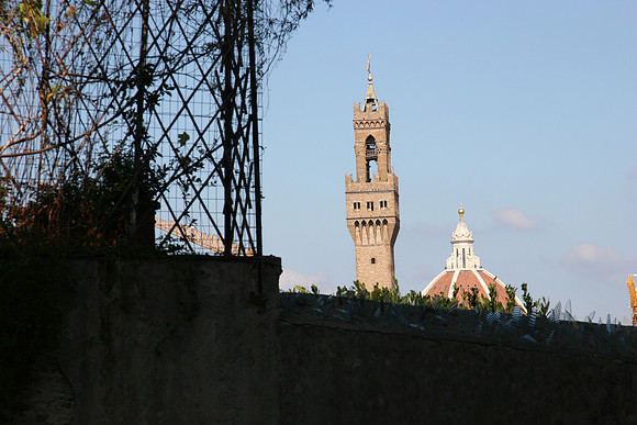 Bargello Tower and Duomo Top