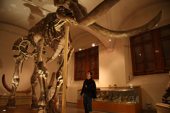 Archeology museum
