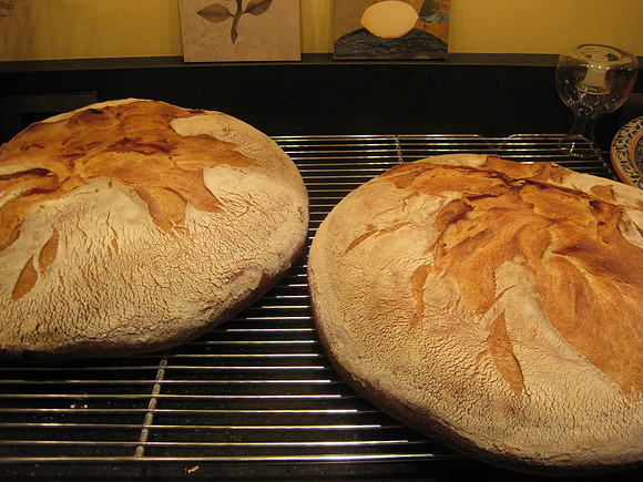 Bread