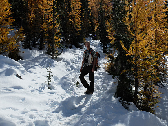 Snow and larches at about 6,200 feet.