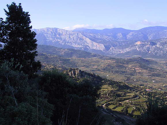 Sardinia Countryside