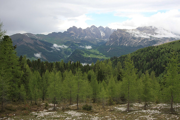 Back in the tree line.