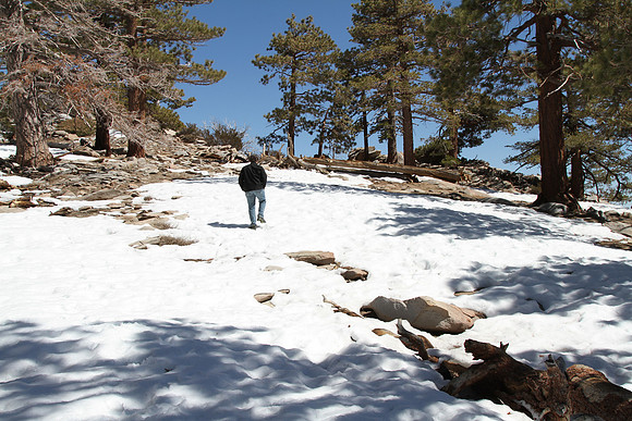 Walking up a small ridge to get a view.