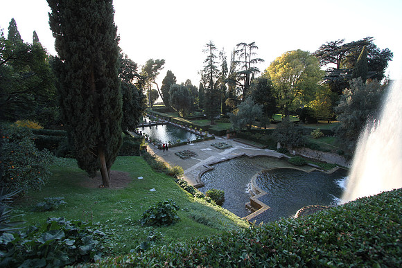 Looking down toward the fish pond.