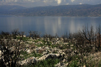 More burn evidence, looking at the Peloponnese Peninsula.