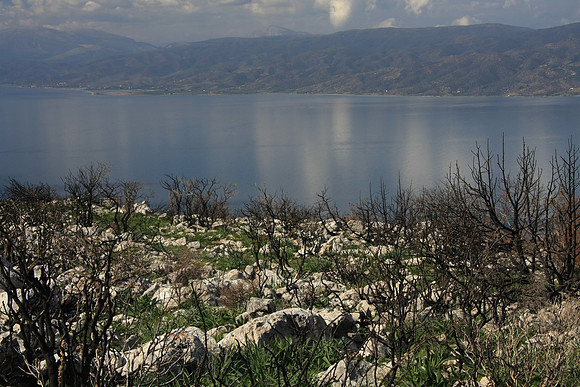 More burn evidence, looking at the Peloponnese Peninsula.