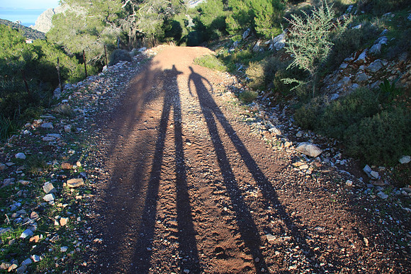 Long shadows