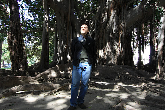 Shadows in the banyan tree