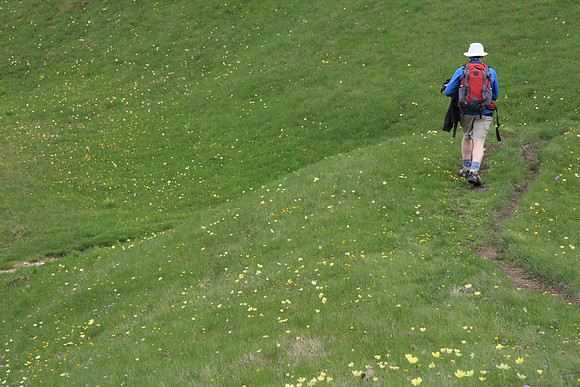 Trying not to crunch the flowers, but the path was too muddy.