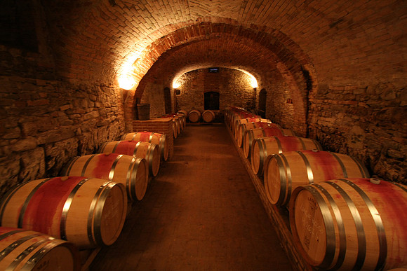 Underneath the seemingly tranquil buildings there is a whole wine producing facility