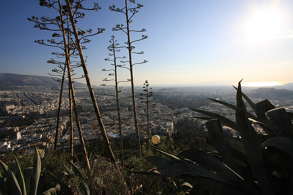 From the top of Lycabettus Hill - what a path up