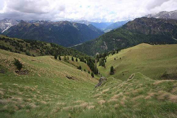 The meadows rolling downward is spectacular scenery.