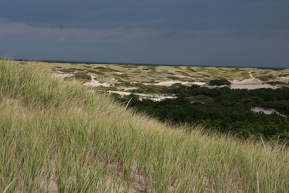 National park.