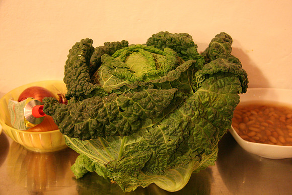 Cabbage (Cavolo verza) before it becomes Ribollita (a type of soup)
