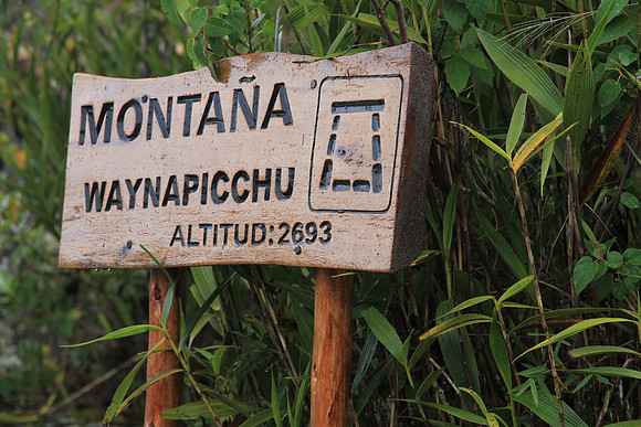 Wayna Picchu or "young mountain".