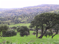 Sardinia