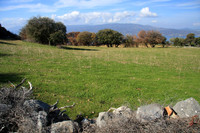 Pasture