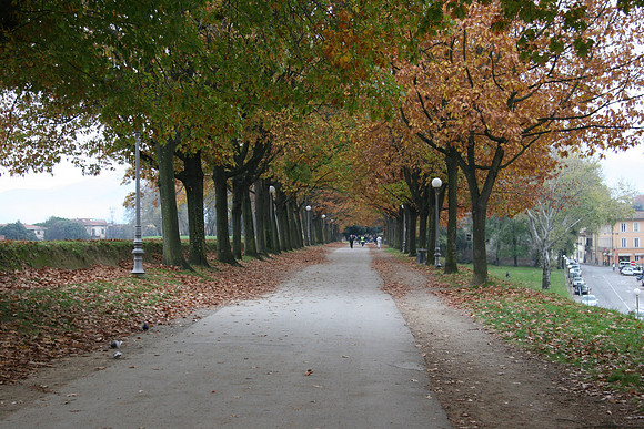 Walking along the walls - path for running, walking, or riding.