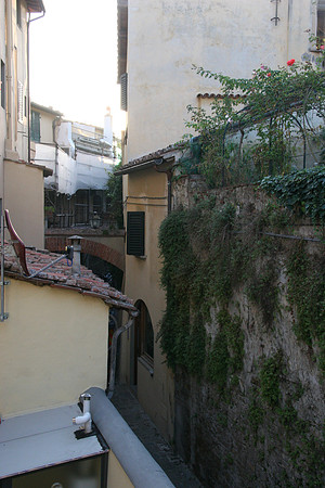 The alley