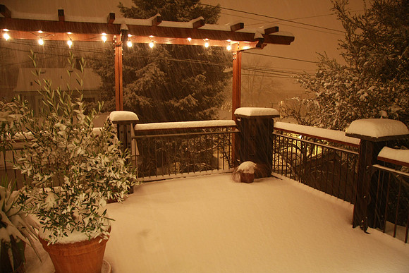 Yet more snow.