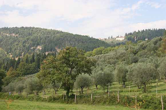 Fiesole countryside