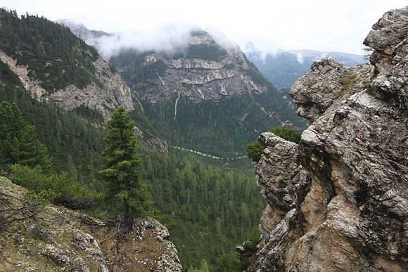 The valley we climbed up from, looking east