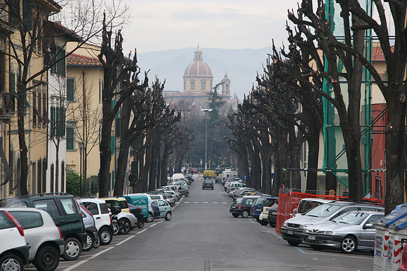 Tree trimming is taken seriously here  - Piazza San Francisco  di Paola