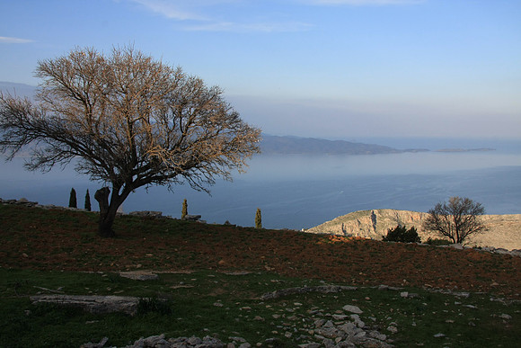 View northeast