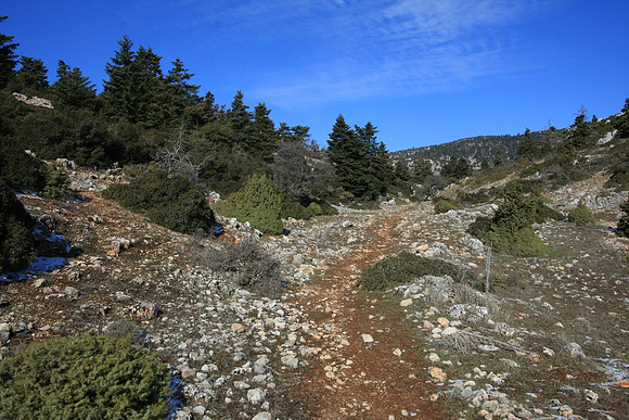 The trail climbs at its beginning and end, but for most of the way is pretty level at about 1150m.