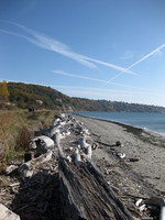 Seattle 1