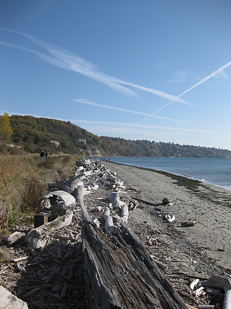 Discovery park beach.