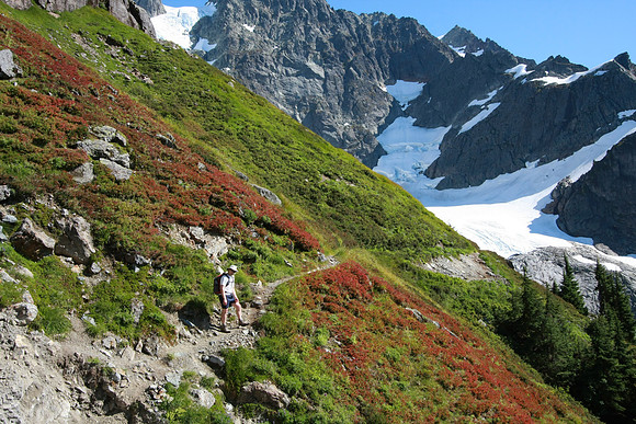 The red areas are blueberry bushes which of course we sampled.