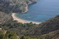 A small little cove on the south side of the island - Two horses on the beach