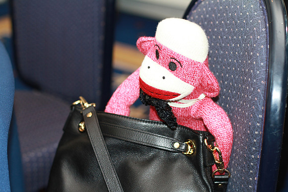 Pick Pocket Sock Monkey