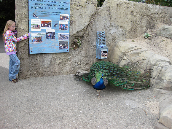 I want a feather!