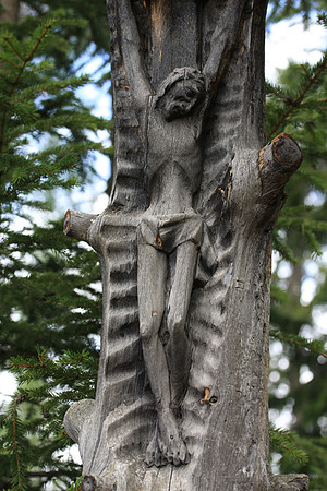 Carving in an old tree trunk