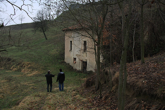 Looking from a small grove nearby.