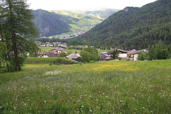 The meadows as we walk back down into Colfosco
