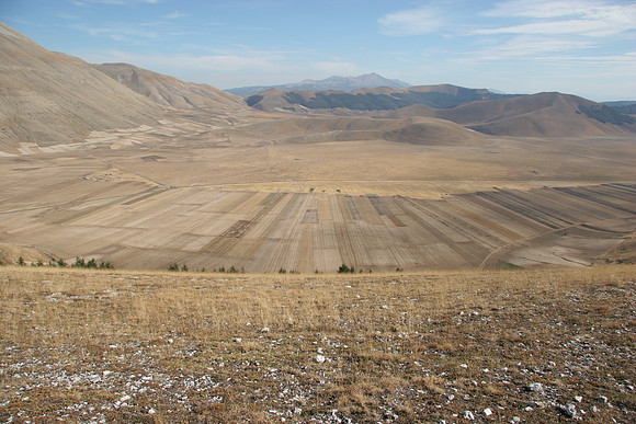 Looking East