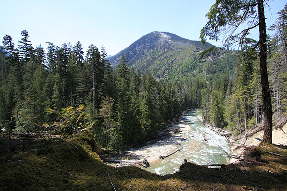 Looking back on the creek, a rare shot since most of the time we only heard the water