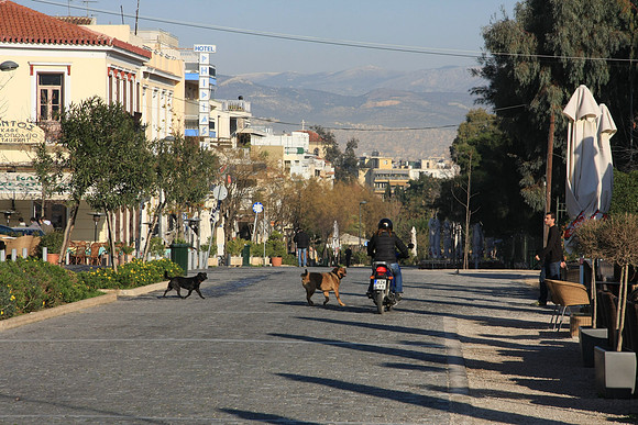 On the way to the Acropolis - dogs controlling the speed of passing scooters - really
