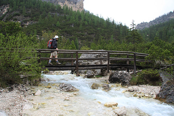 Start of the hike on trail #11 goes through a valley