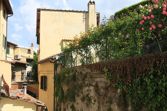 Tantalizing Garden that showers us in perfume