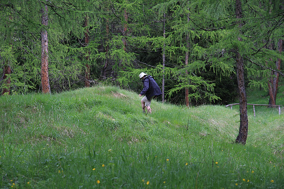 Coming down trail #8c there was mud which clumped on the boots - cleaning it off in the grass.