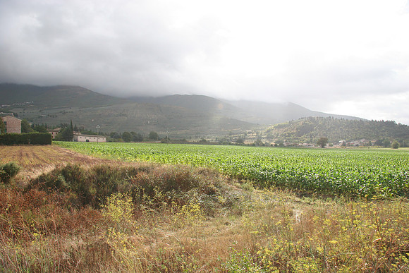 Typical Mid Autum Field Near Trevi