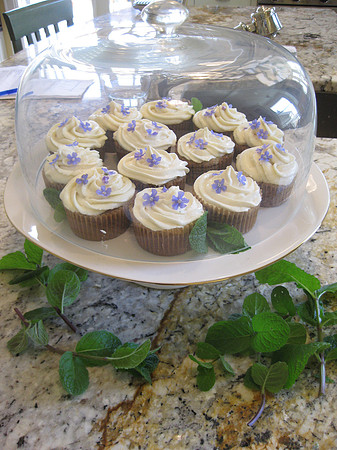 Carrot cupcakes decorated with borage flowers