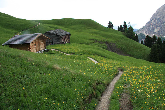 On trail #8