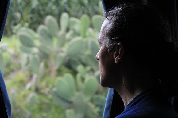 Gazing from window on bus.