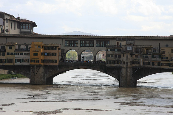 Lots of rain the night before yields a swollen Arno river filled with interesting stuff